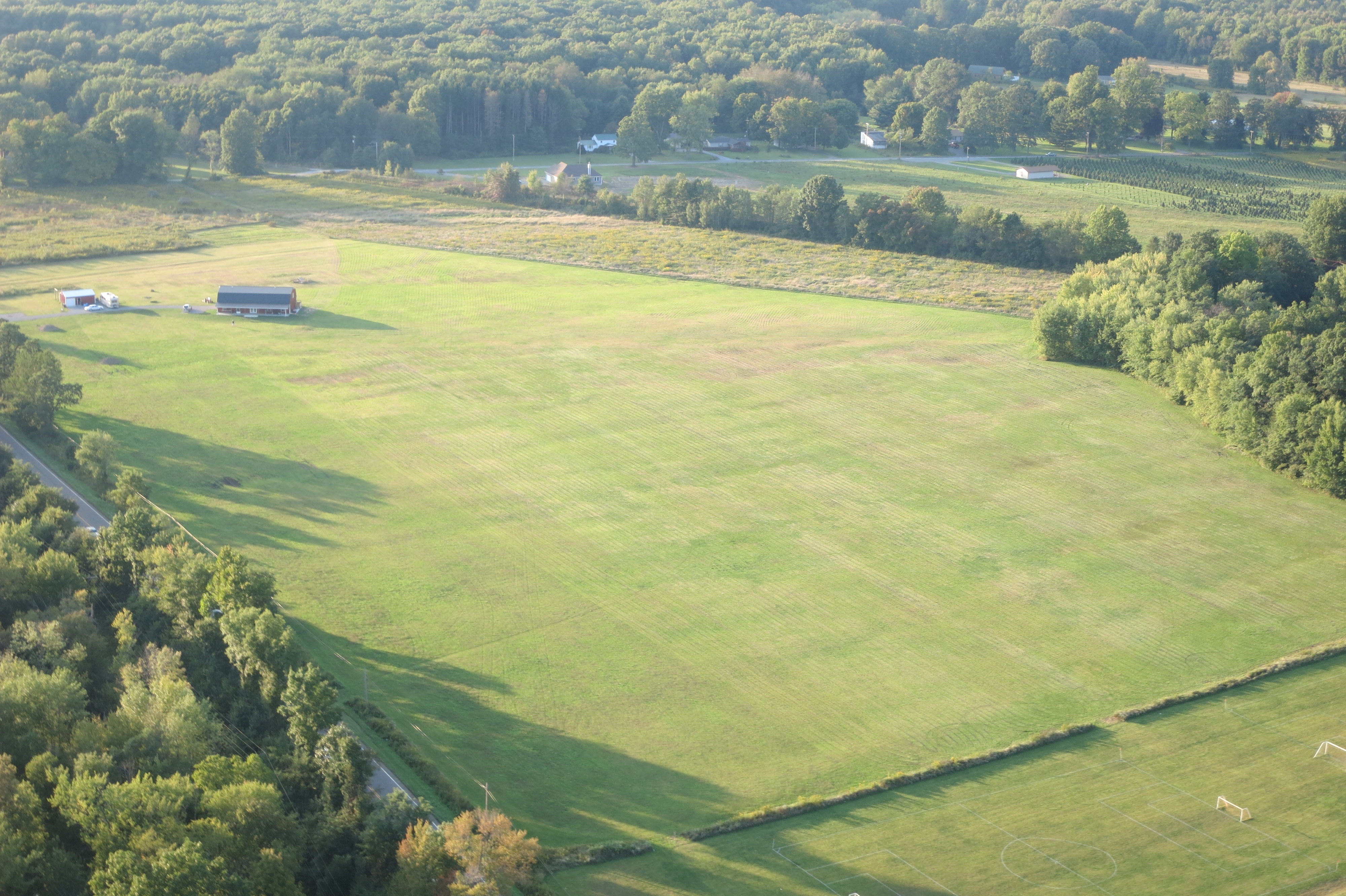 Local field