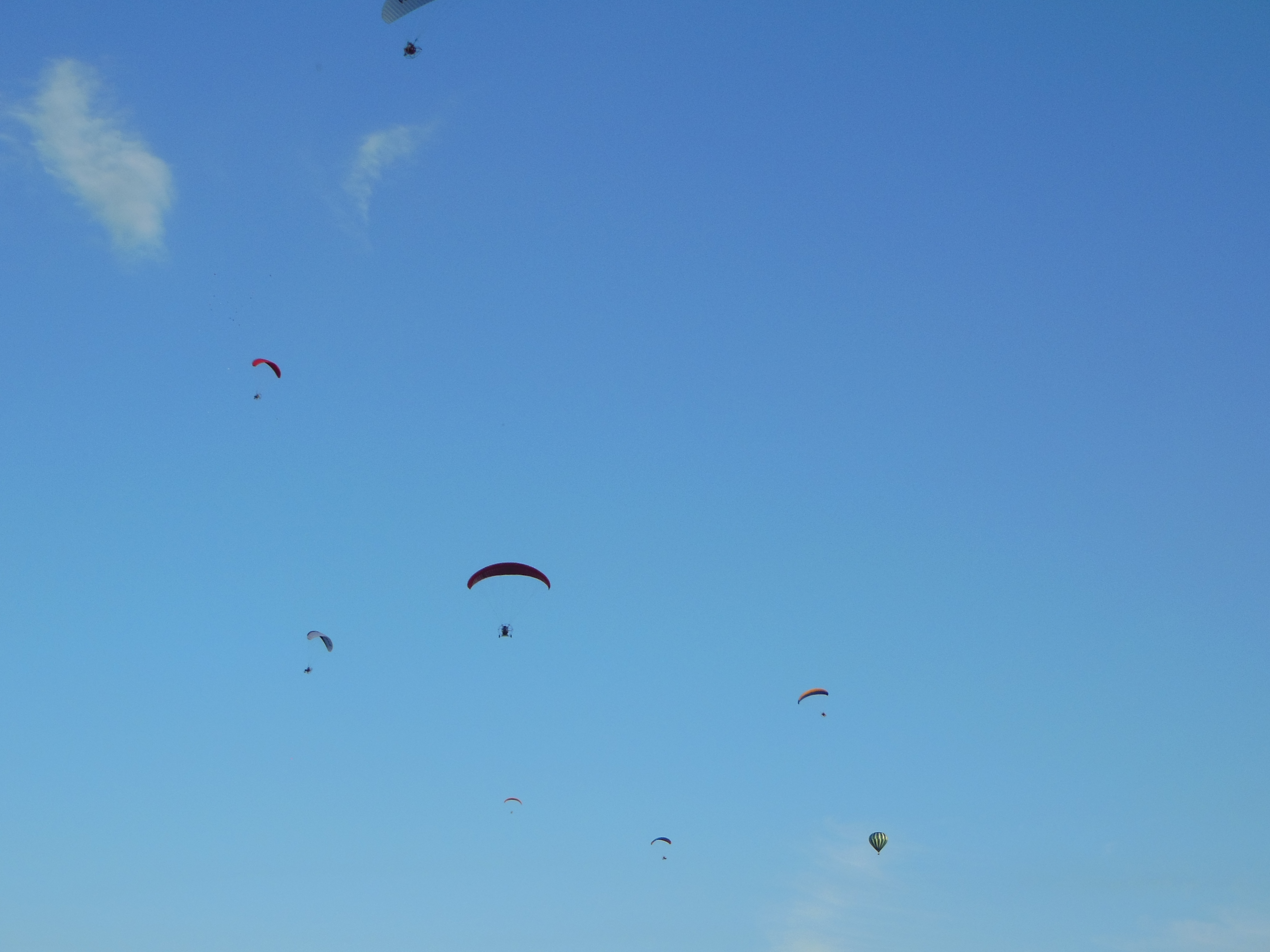 Flightjunkies powered paragliding offers paramotor sales, parts, and ...
